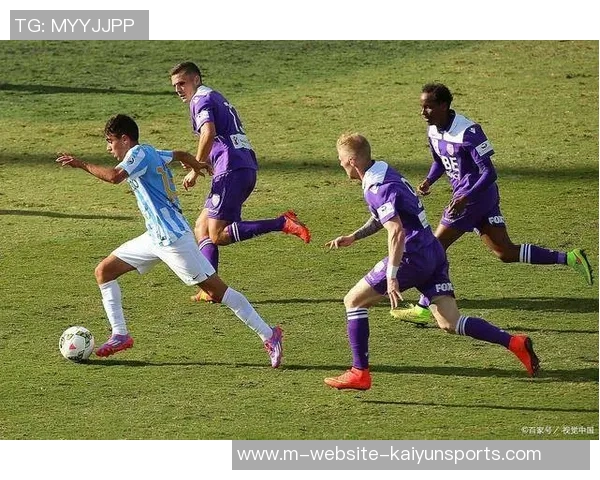 维踢者主场迎战汉诺威全力争胜力争积分榜上升